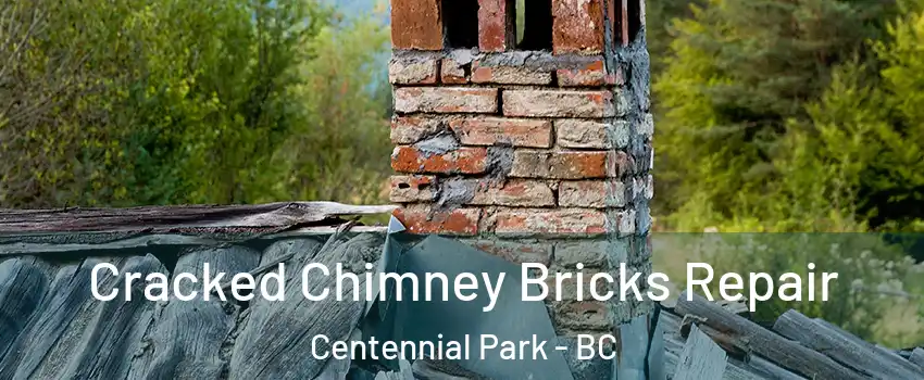  Cracked Chimney Bricks Repair Centennial Park - BC