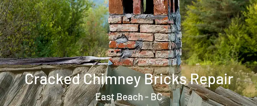 Cracked Chimney Bricks Repair East Beach - BC
