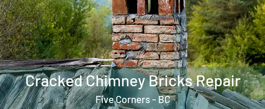  Cracked Chimney Bricks Repair Five Corners - BC