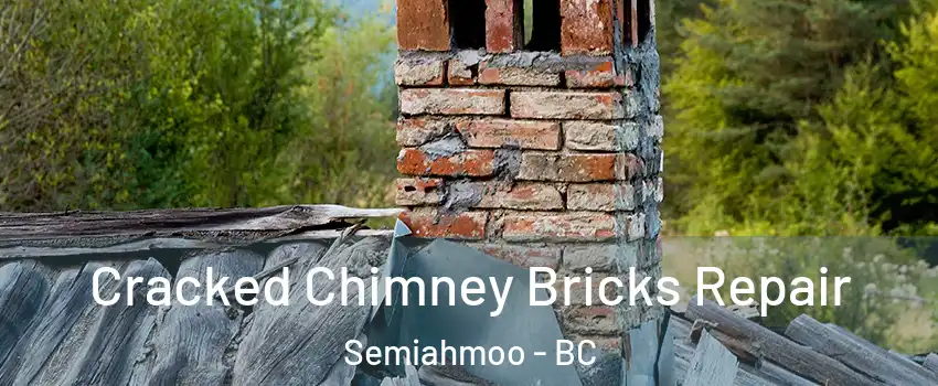  Cracked Chimney Bricks Repair Semiahmoo - BC
