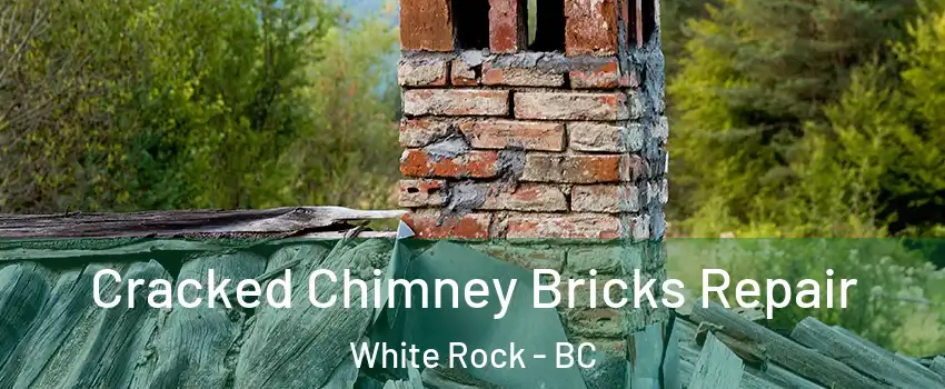 Cracked Chimney Bricks Repair White Rock - BC
