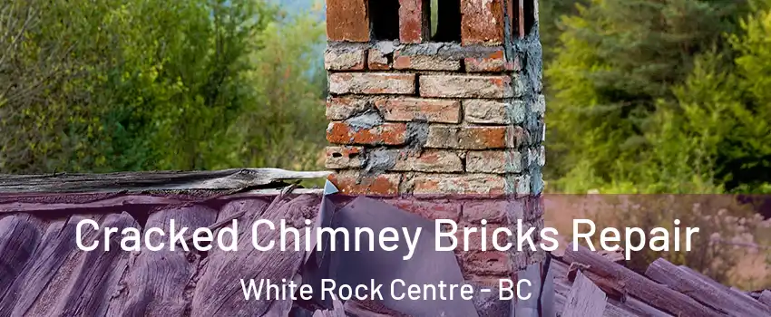  Cracked Chimney Bricks Repair White Rock Centre - BC