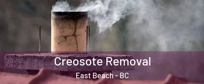  Creosote Removal East Beach - BC