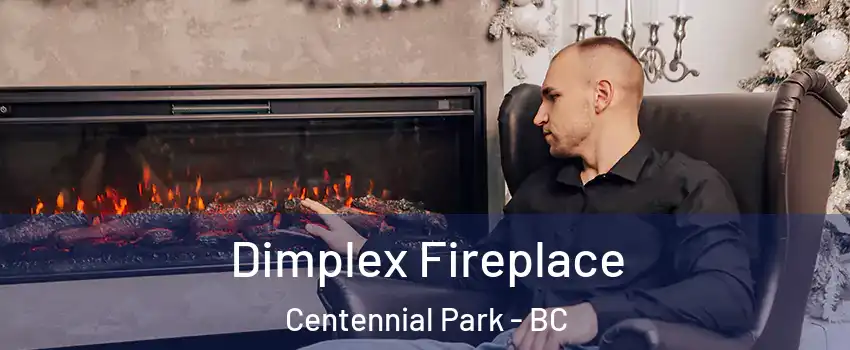  Dimplex Fireplace Centennial Park - BC