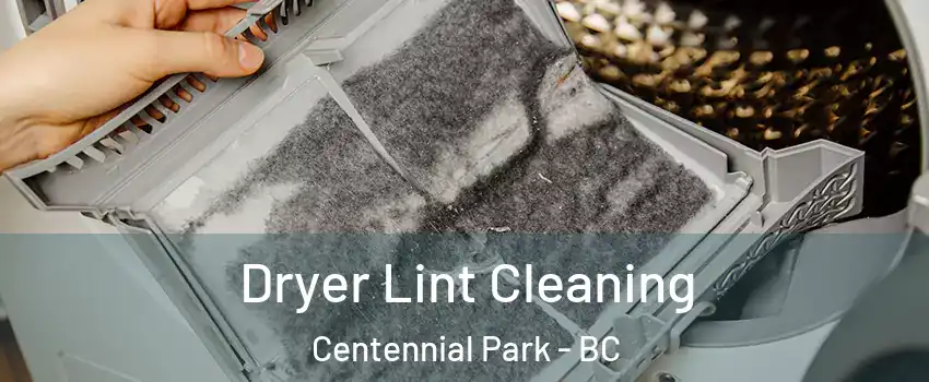  Dryer Lint Cleaning Centennial Park - BC