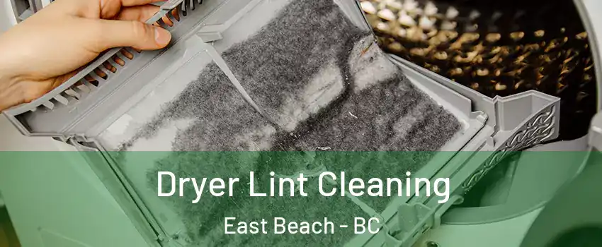  Dryer Lint Cleaning East Beach - BC
