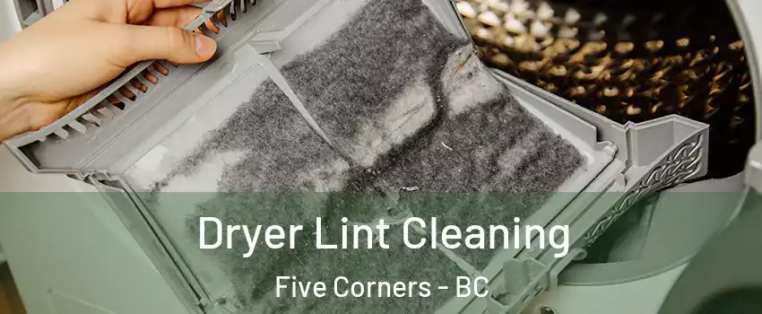  Dryer Lint Cleaning Five Corners - BC