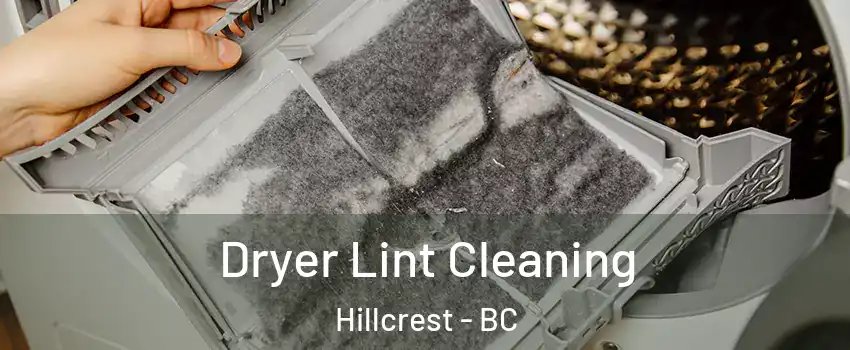  Dryer Lint Cleaning Hillcrest - BC