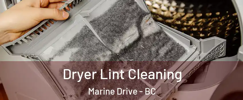  Dryer Lint Cleaning Marine Drive - BC