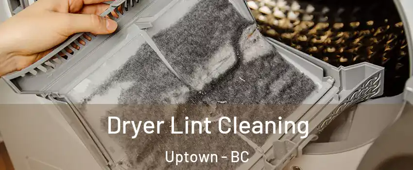  Dryer Lint Cleaning Uptown - BC