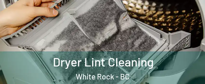  Dryer Lint Cleaning White Rock - BC