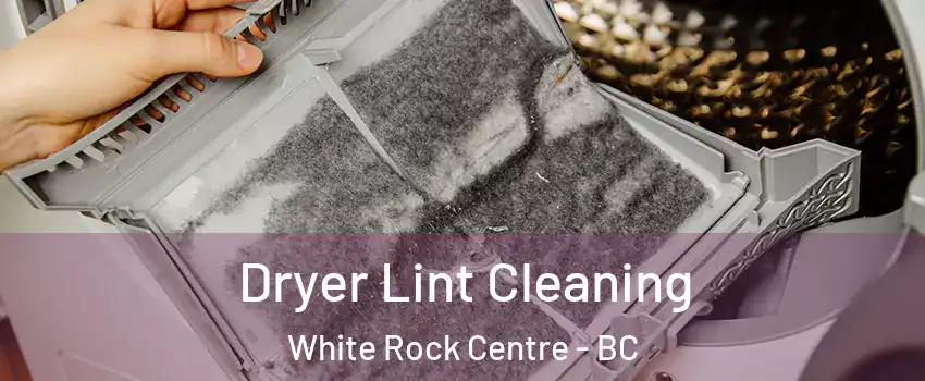  Dryer Lint Cleaning White Rock Centre - BC