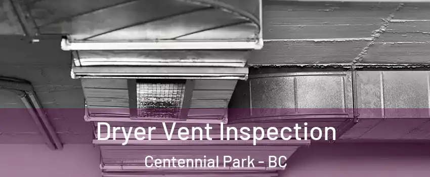  Dryer Vent Inspection Centennial Park - BC