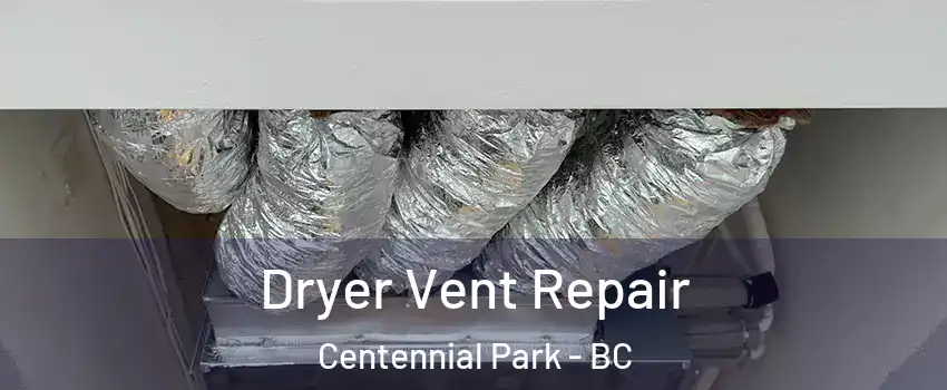 Dryer Vent Repair Centennial Park - BC