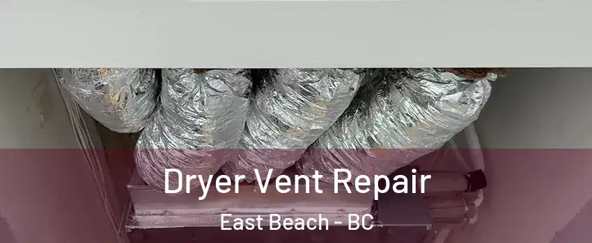 Dryer Vent Repair East Beach - BC
