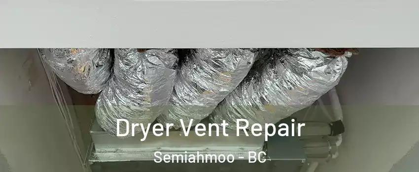 Dryer Vent Repair Semiahmoo - BC