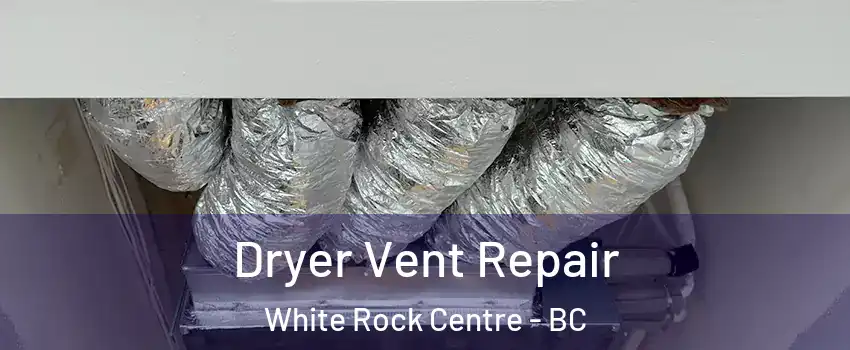  Dryer Vent Repair White Rock Centre - BC