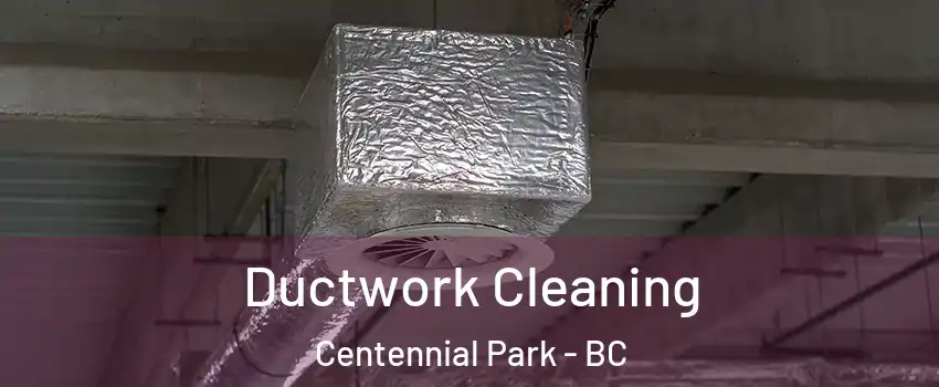  Ductwork Cleaning Centennial Park - BC
