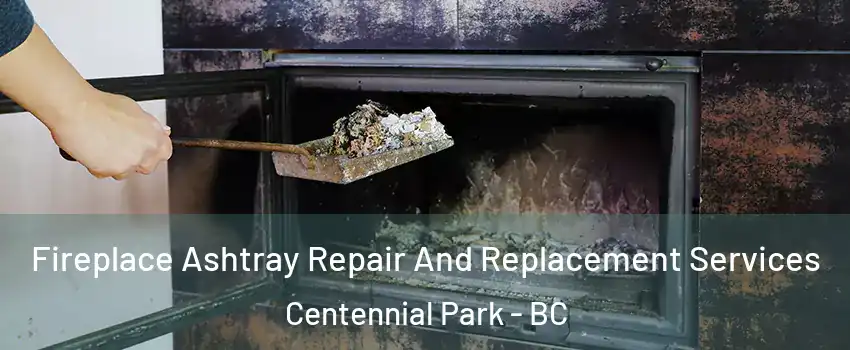 Fireplace Ashtray Repair And Replacement Services Centennial Park - BC