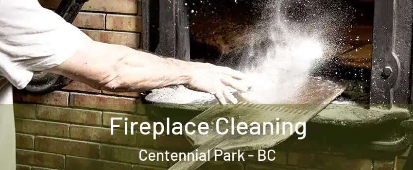  Fireplace Cleaning Centennial Park - BC