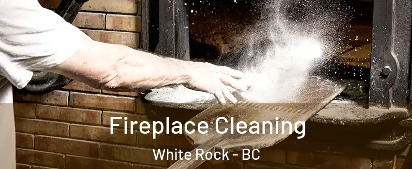 Fireplace Cleaning White Rock - BC