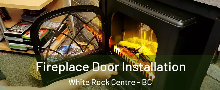  Fireplace Door Installation White Rock Centre - BC