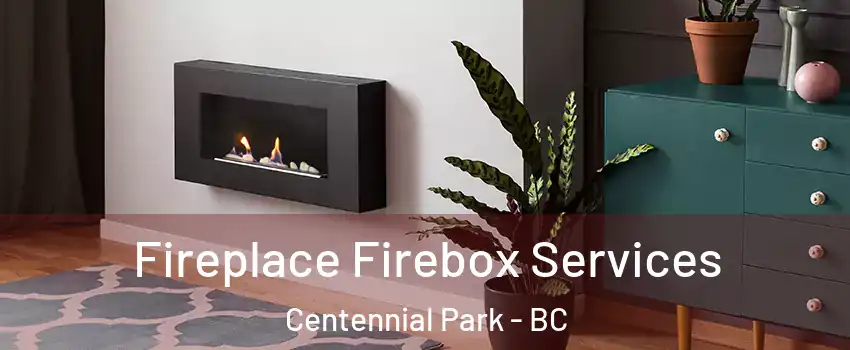  Fireplace Firebox Services Centennial Park - BC