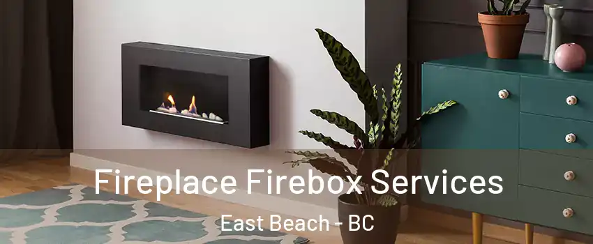 Fireplace Firebox Services East Beach - BC