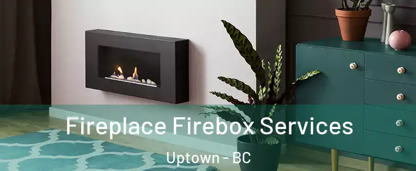  Fireplace Firebox Services Uptown - BC