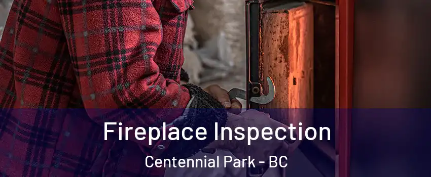  Fireplace Inspection Centennial Park - BC
