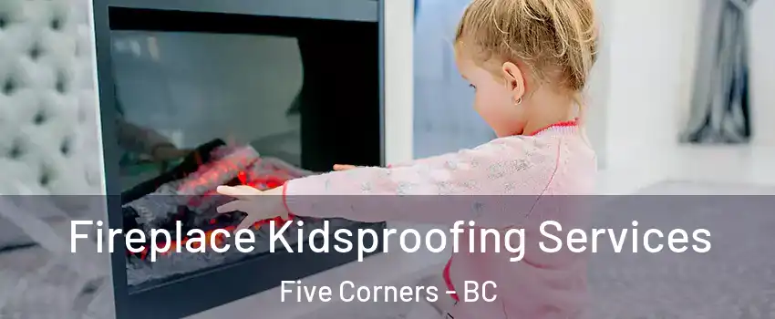  Fireplace Kidsproofing Services Five Corners - BC