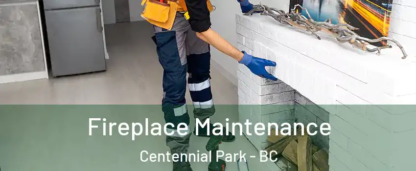  Fireplace Maintenance Centennial Park - BC