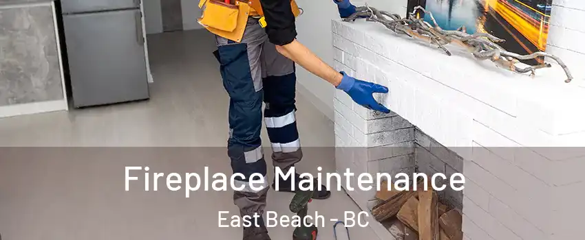  Fireplace Maintenance East Beach - BC