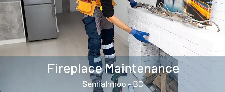  Fireplace Maintenance Semiahmoo - BC