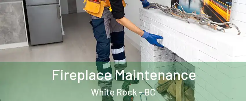  Fireplace Maintenance White Rock - BC