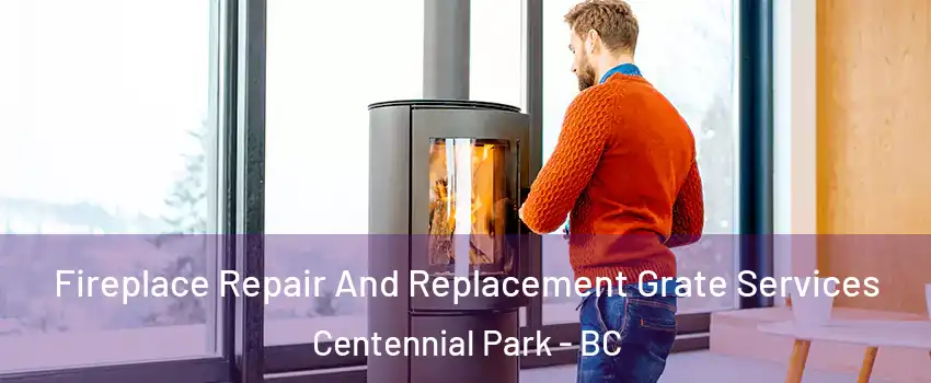 Fireplace Repair And Replacement Grate Services Centennial Park - BC