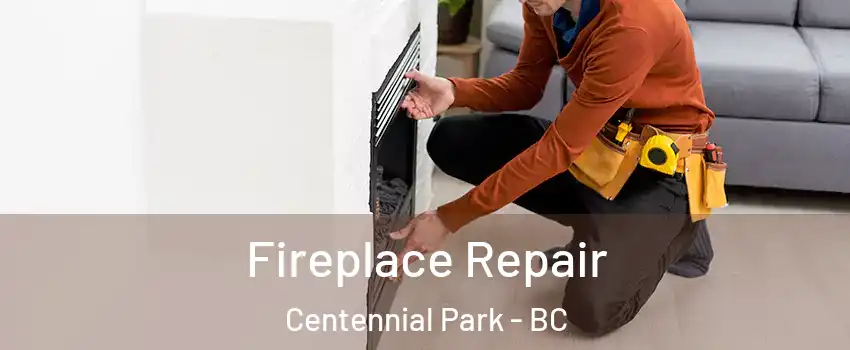 Fireplace Repair Centennial Park - BC