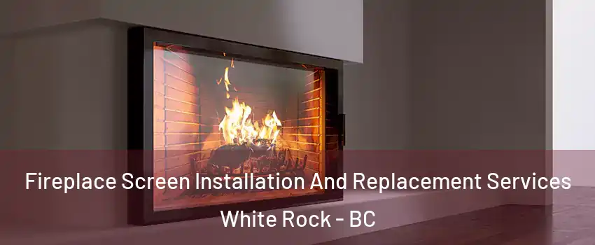  Fireplace Screen Installation And Replacement Services White Rock - BC