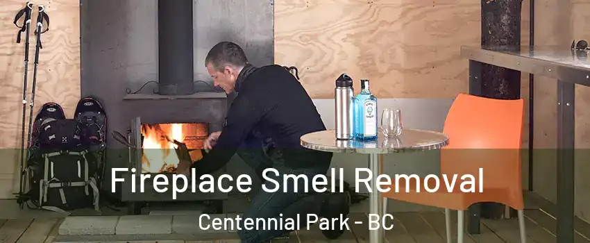  Fireplace Smell Removal Centennial Park - BC