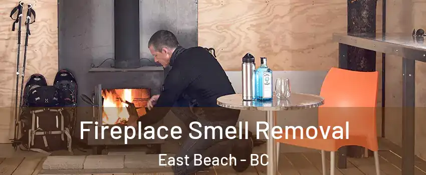  Fireplace Smell Removal East Beach - BC