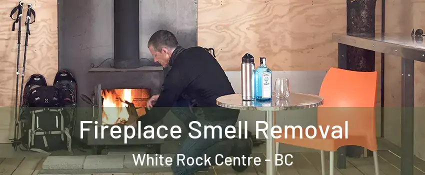  Fireplace Smell Removal White Rock Centre - BC