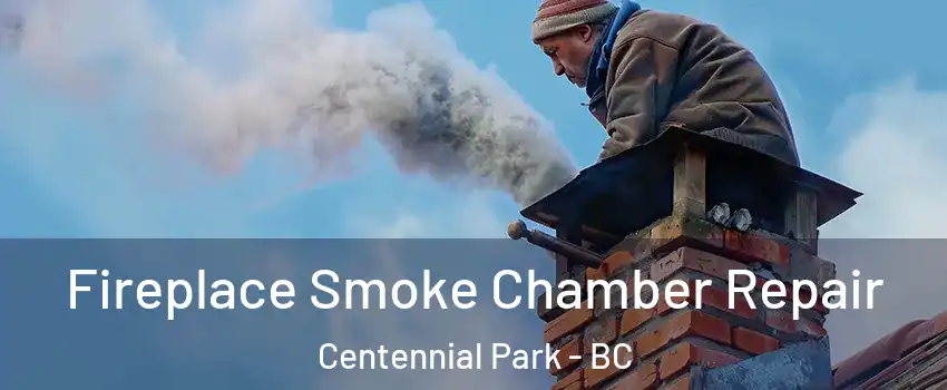  Fireplace Smoke Chamber Repair Centennial Park - BC