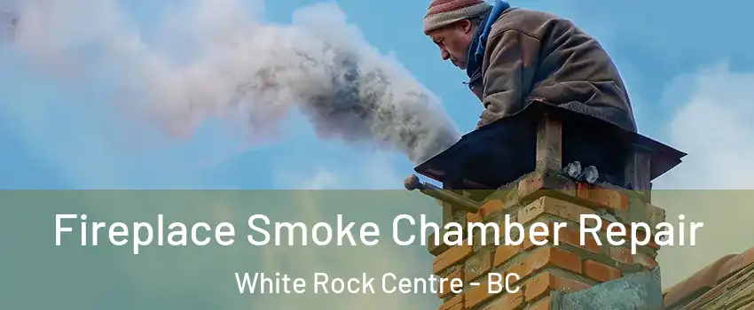  Fireplace Smoke Chamber Repair White Rock Centre - BC