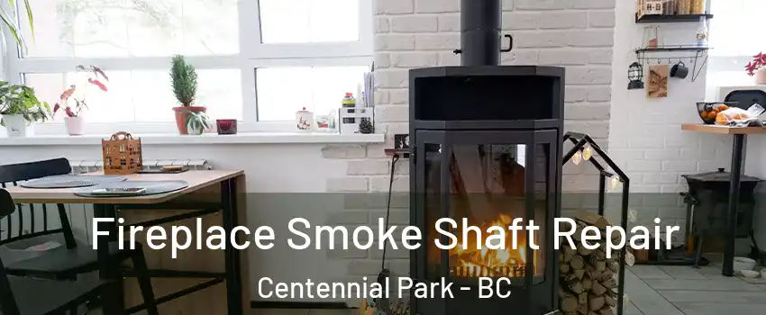  Fireplace Smoke Shaft Repair Centennial Park - BC