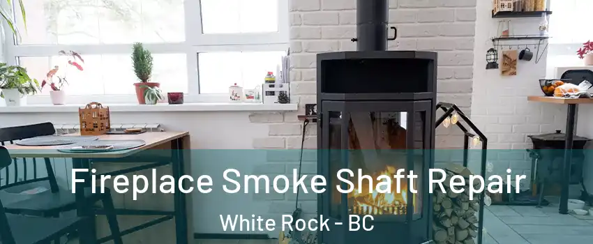 Fireplace Smoke Shaft Repair White Rock - BC