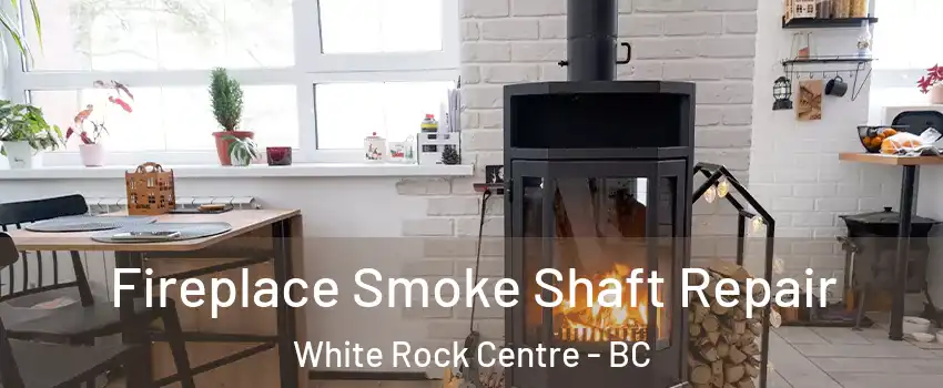  Fireplace Smoke Shaft Repair White Rock Centre - BC