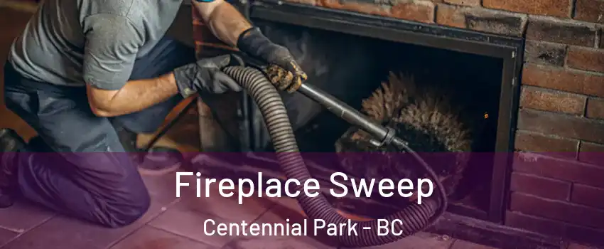  Fireplace Sweep Centennial Park - BC