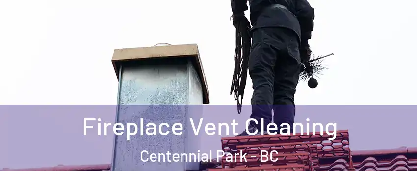  Fireplace Vent Cleaning Centennial Park - BC