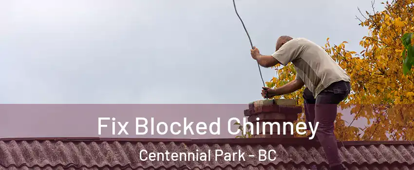  Fix Blocked Chimney Centennial Park - BC