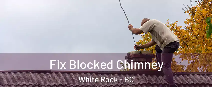  Fix Blocked Chimney White Rock - BC
